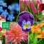 Ретро цветни врт: 10 боја из нашег детињства